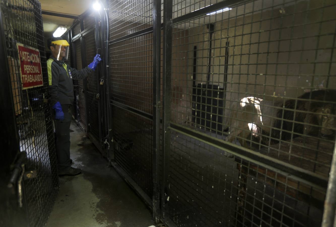 Fotos: El zoo de Jerez en los tiempos del coronavirus