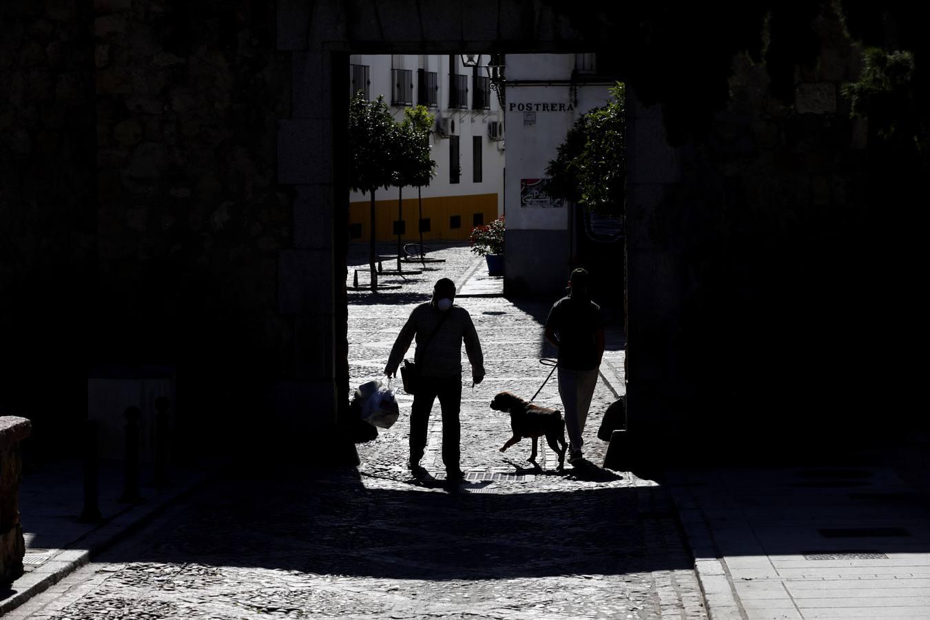 La quietud del Alcázar Viejo de Córdoba, en imágenes