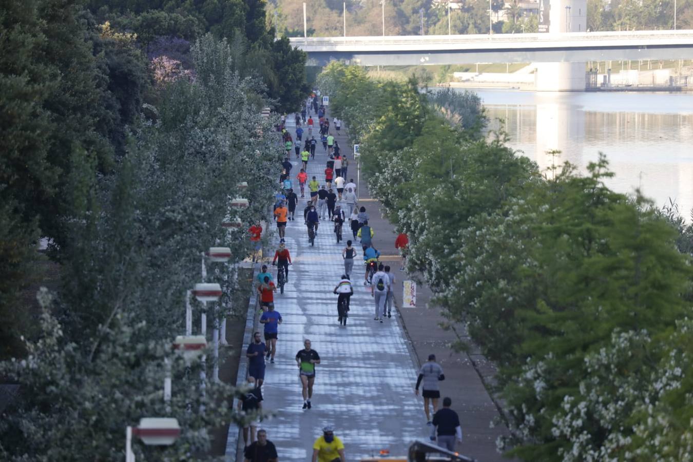 Desescalada Sevilla: Miles de sevillanos toman las calles para hacer deporte