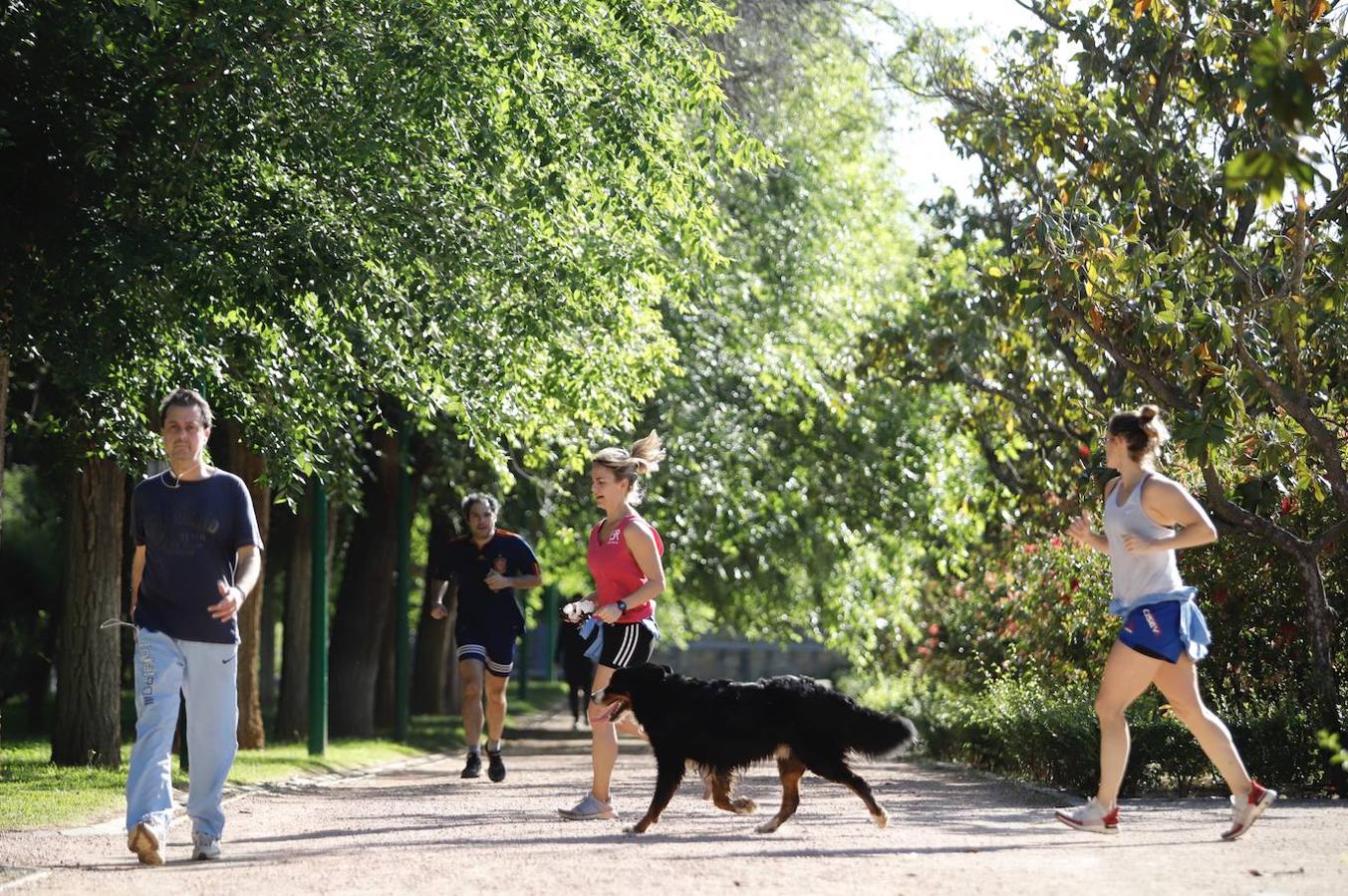 El deporte en el Parque Cruz Conde de Córdoba, en imágenes