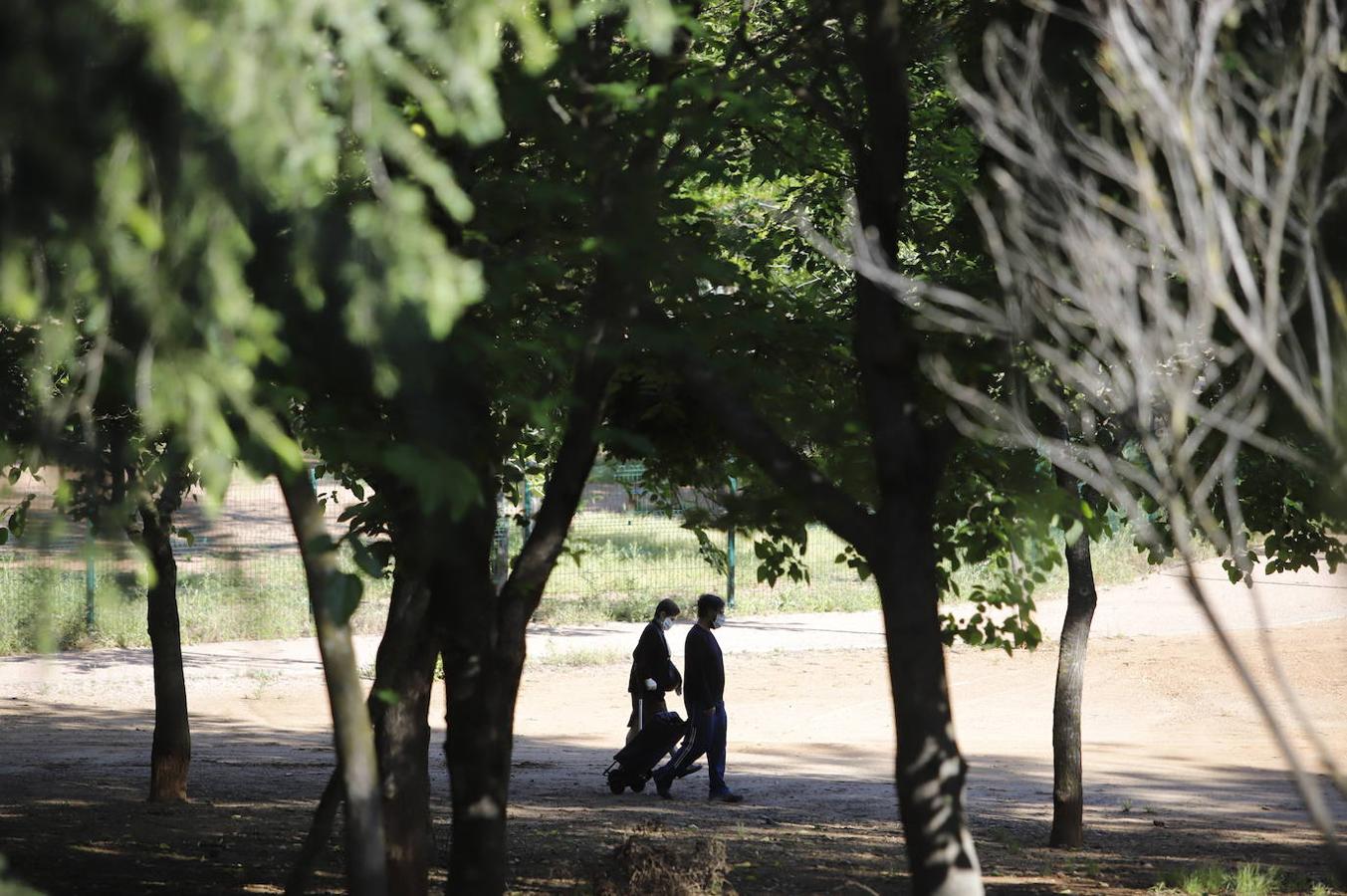 El deporte en el Parque Cruz Conde de Córdoba, en imágenes