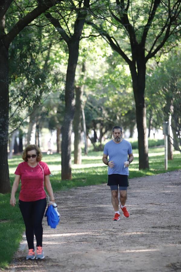 El deporte en el Parque Cruz Conde de Córdoba, en imágenes