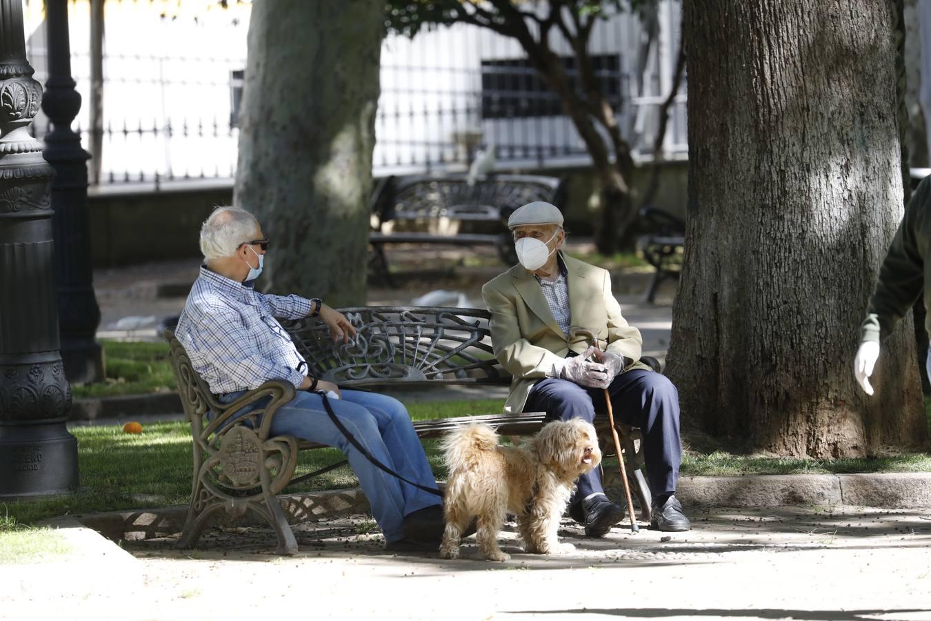 La primera salida de los mayores en Córdoba, en imágenes