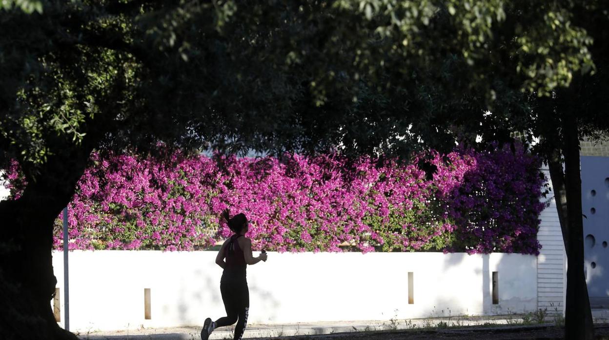 El deporte en el circuito del Tablero de Córdoba, en imágenes