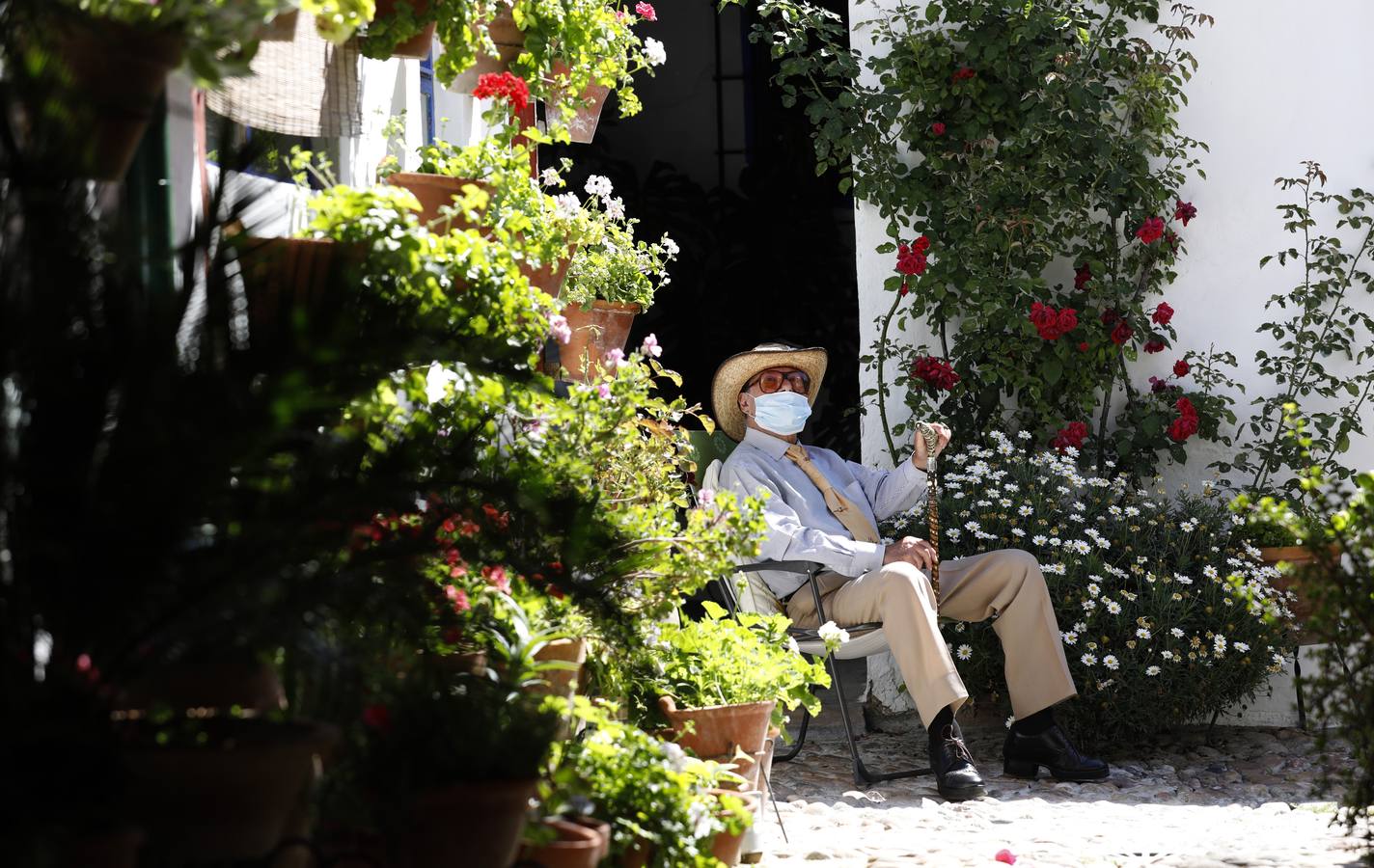 La plenitud primaveral de Córdoba pese al Covid-19 en Marroquíes 6, en imágenes