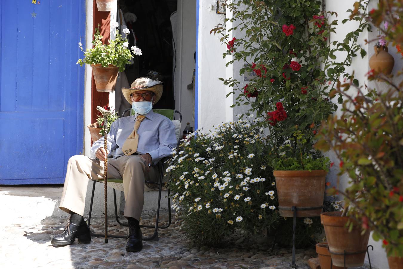 La plenitud primaveral de Córdoba pese al Covid-19 en Marroquíes 6, en imágenes