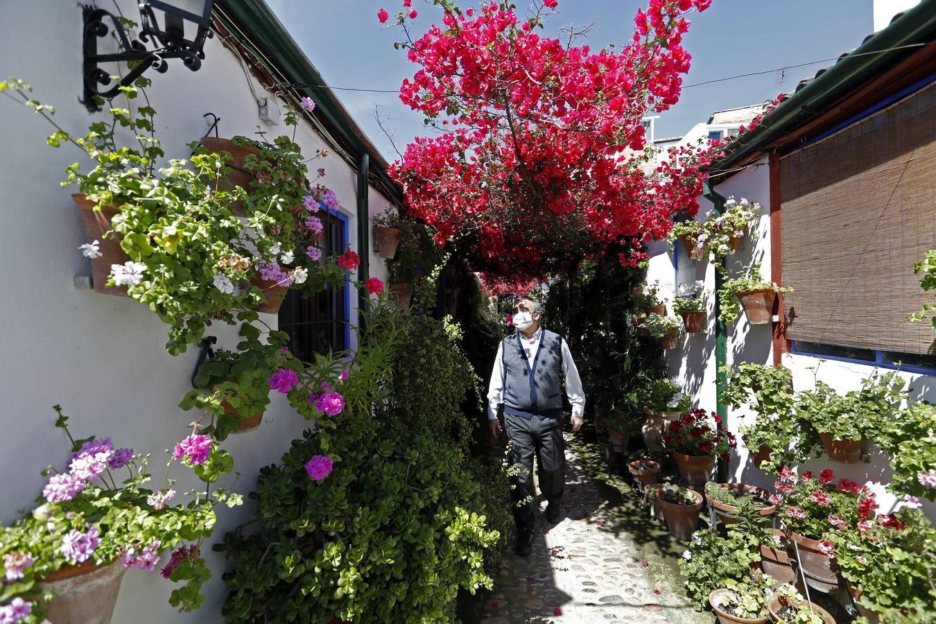 La plenitud primaveral de Córdoba pese al Covid-19 en Marroquíes 6, en imágenes