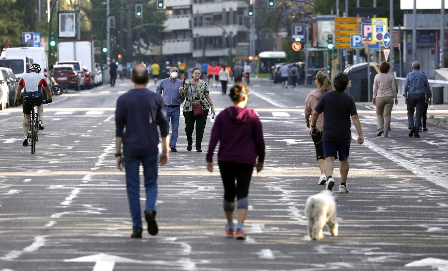 La peatonalización del Paseo de la Victoria de Córdoba, en imágenes