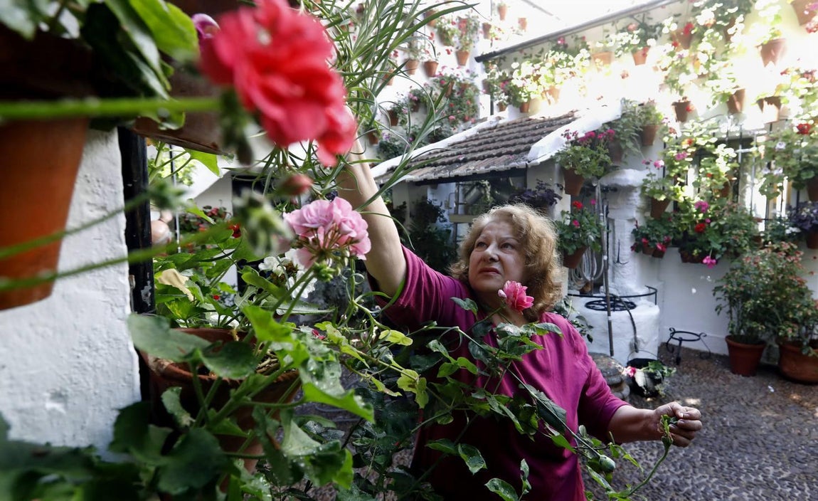 Los patios de San Basilio de Córdoba en el confinamiento, en imágenes