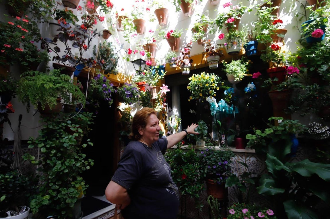 Los patios de Tafures, Ocaña y el Pozanco de Córdoba, en imágenes