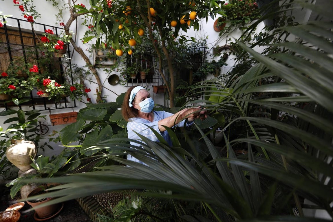 Los patios de Tafures, Ocaña y el Pozanco de Córdoba, en imágenes