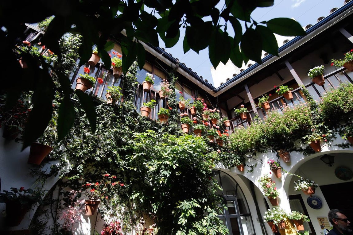 Los patios de Tafures, Ocaña y el Pozanco de Córdoba, en imágenes