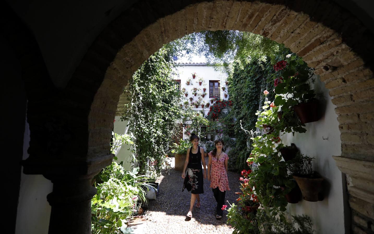 Los patios de Córdoba 2020 en la Judería y San Francisco, en imágenes