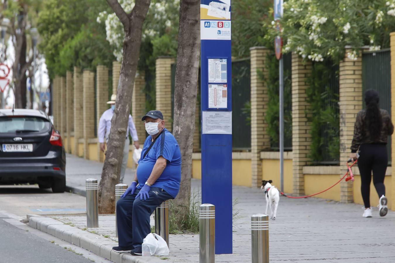 Coronavirus en Sevilla: Día a día en Alcalá de Guadaíra durante el confinamiento