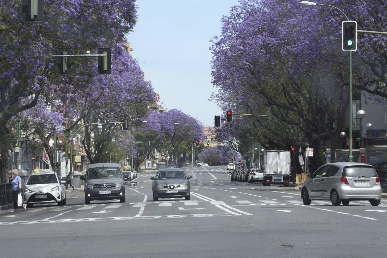 Los coches vuelven a tomar las calles de Sevilla