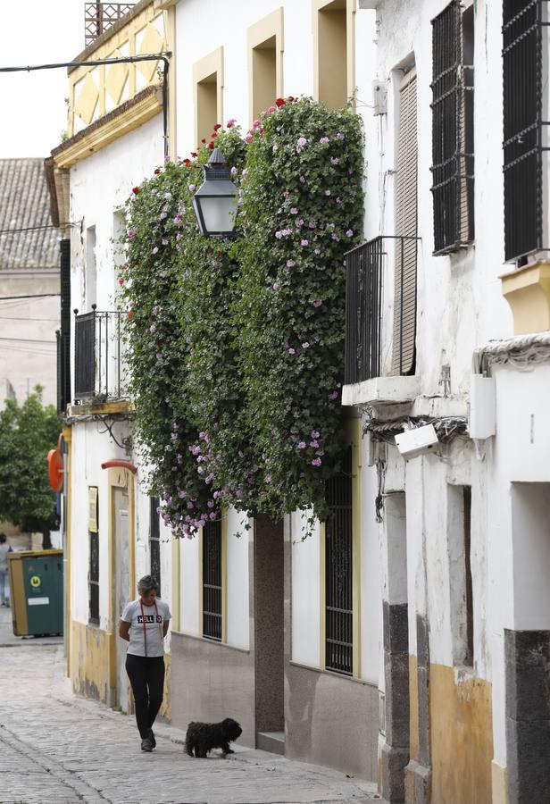 Las rejas y los balcones de Córdoba en 2020, en imágenes
