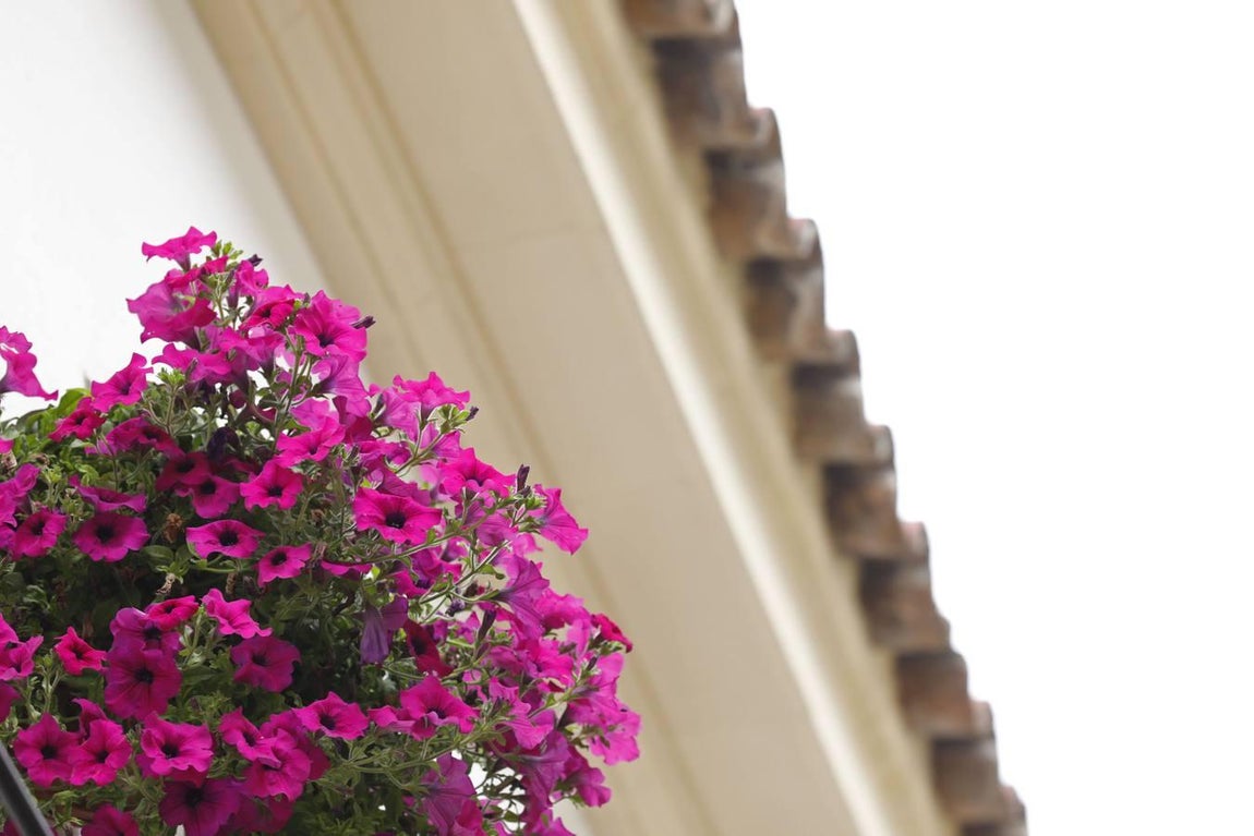 Las rejas y los balcones de Córdoba en 2020, en imágenes