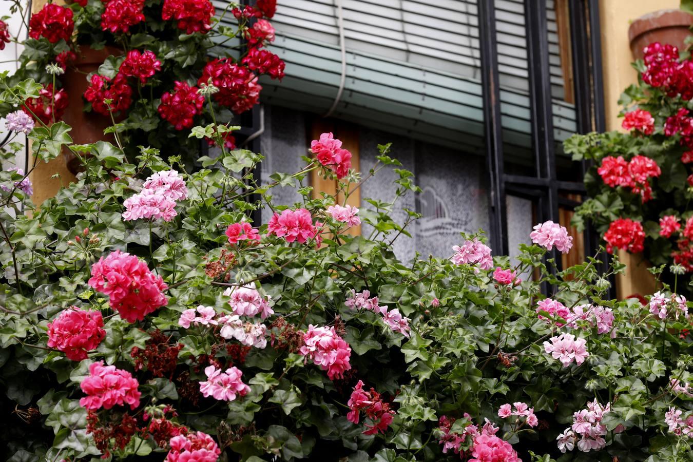 Las rejas y los balcones de Córdoba en 2020, en imágenes