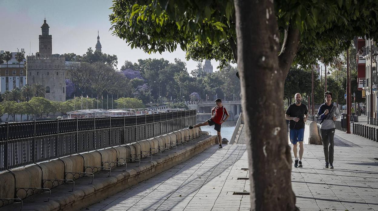 Tramos de algunas grandes vías de Sevilla se peatonalizarán durante los fines de semana