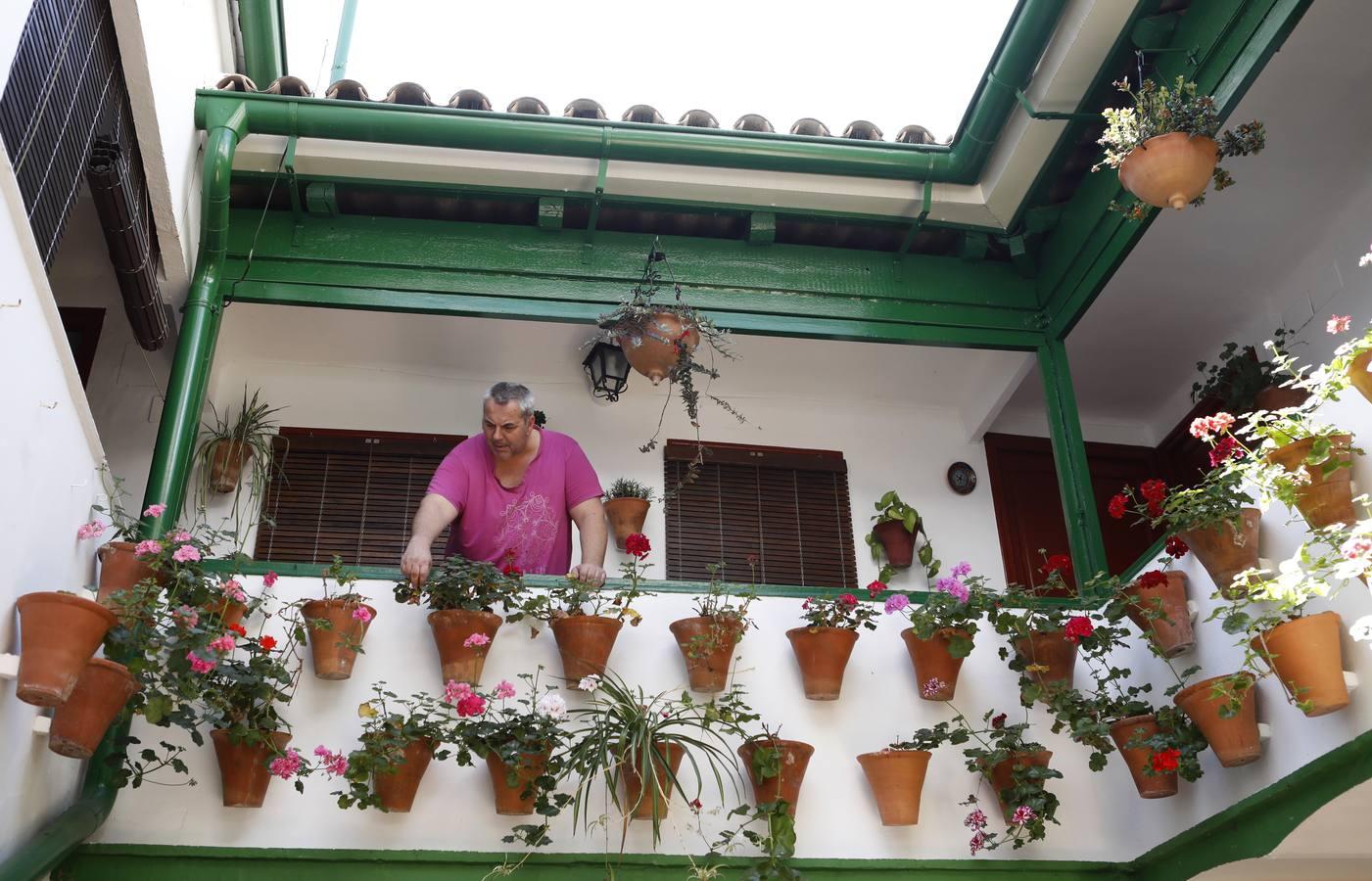 Los patios de Córdoba en Parras y Diego Méndez, en imágenes