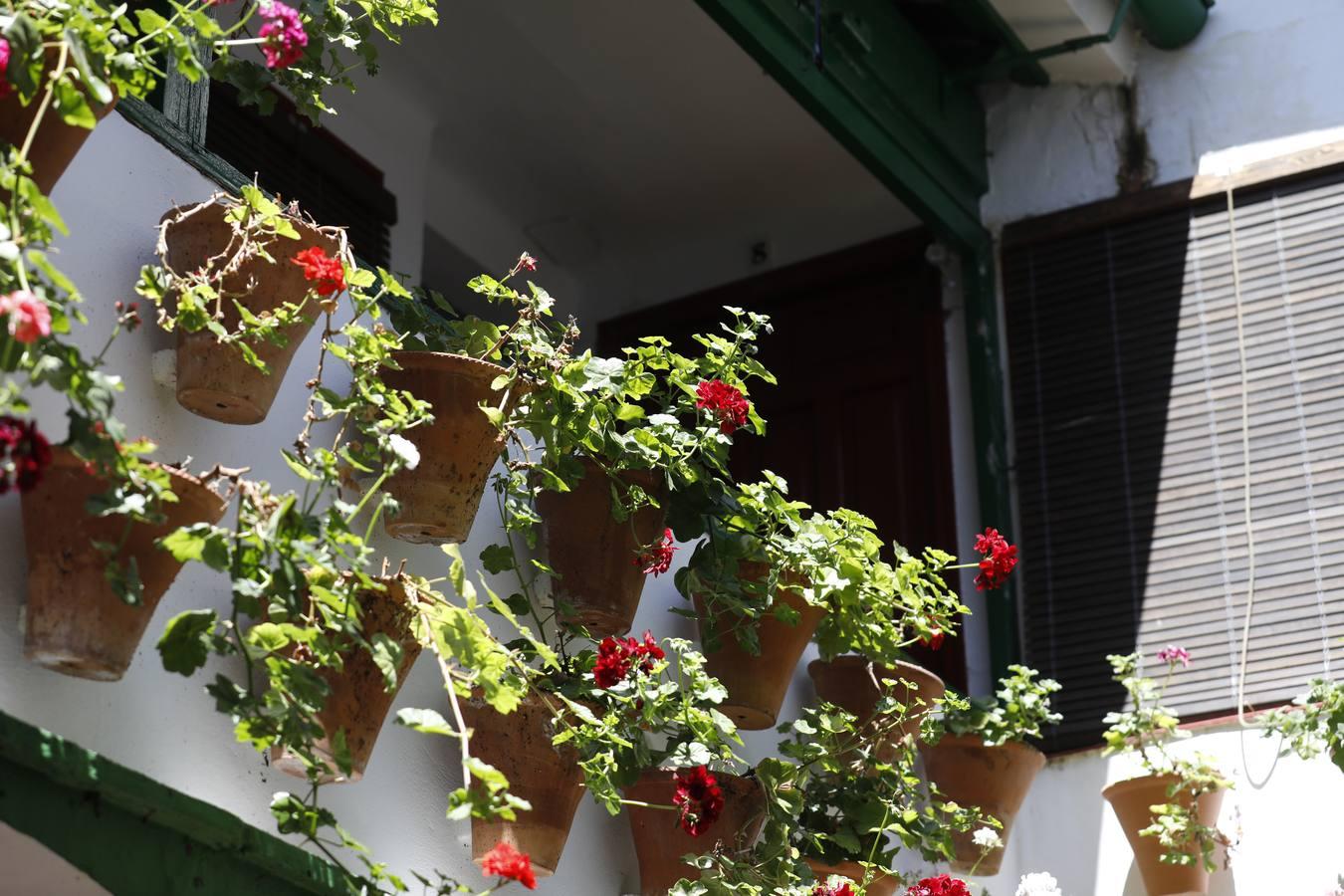 Los patios de Córdoba en Parras y Diego Méndez, en imágenes