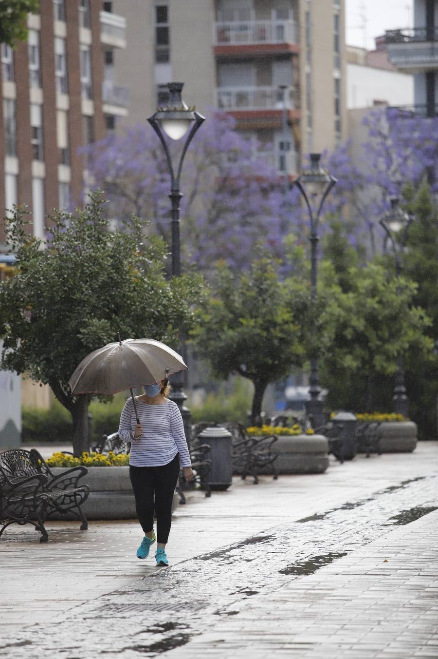 Las ocho nuevas zonas peatonales en la desescalada de Córdoba, en imágenes