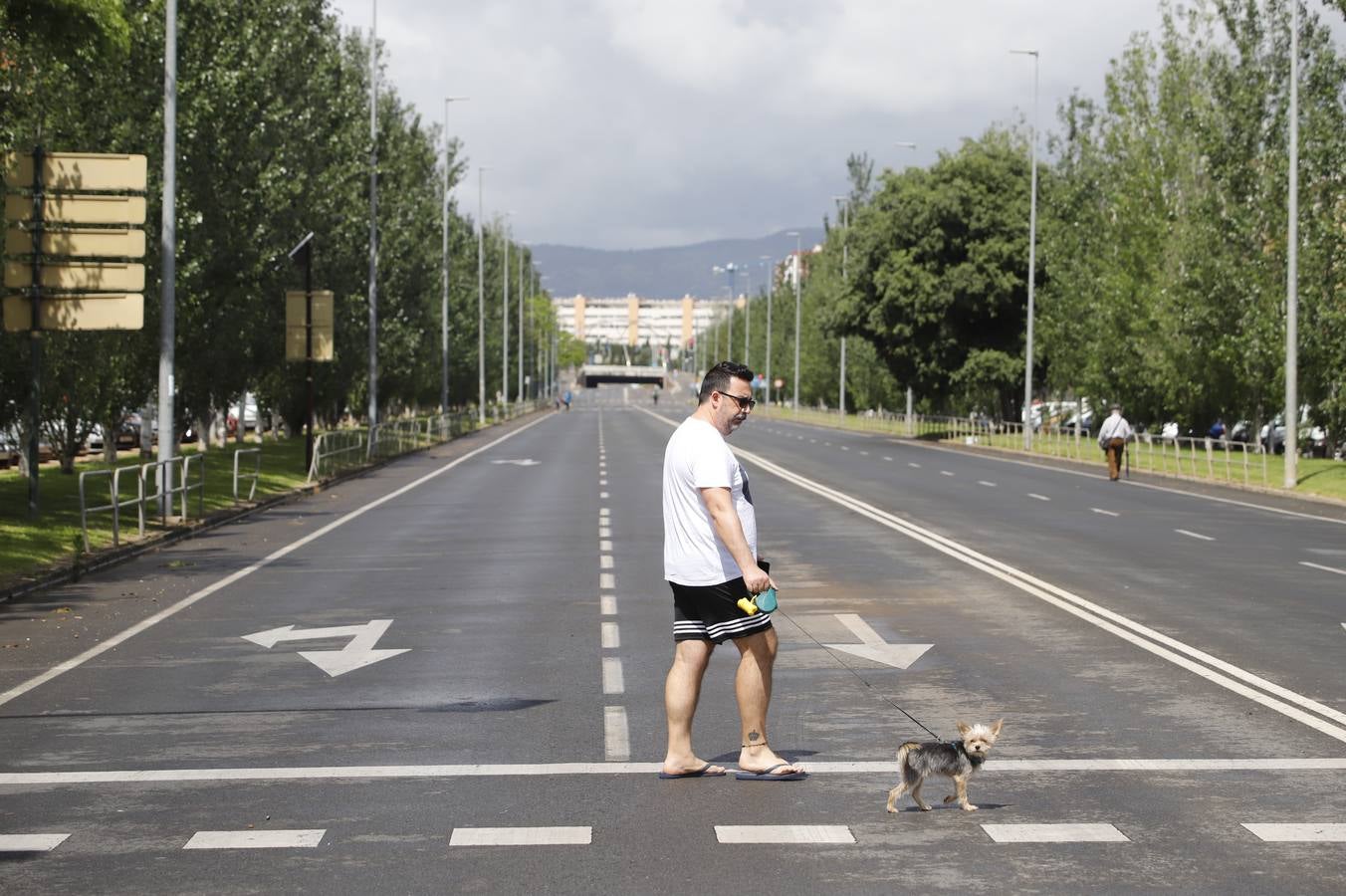 Las ocho nuevas zonas peatonales en la desescalada de Córdoba, en imágenes