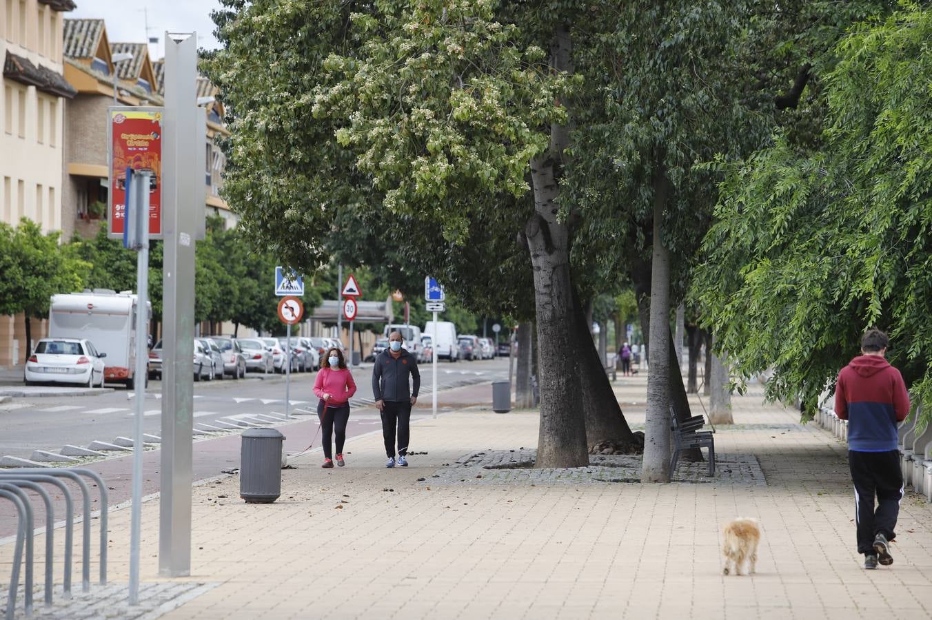 Las ocho nuevas zonas peatonales en la desescalada de Córdoba, en imágenes