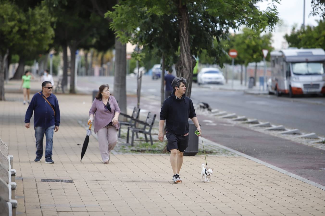 Las ocho nuevas zonas peatonales en la desescalada de Córdoba, en imágenes