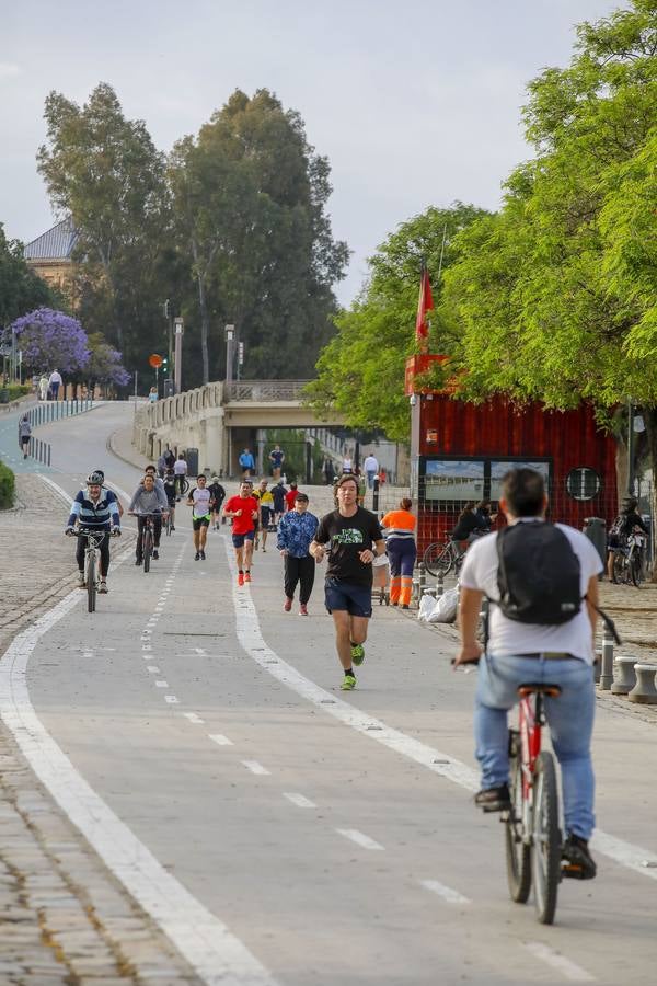 Sevilla, tomada por paseantes y deportistas