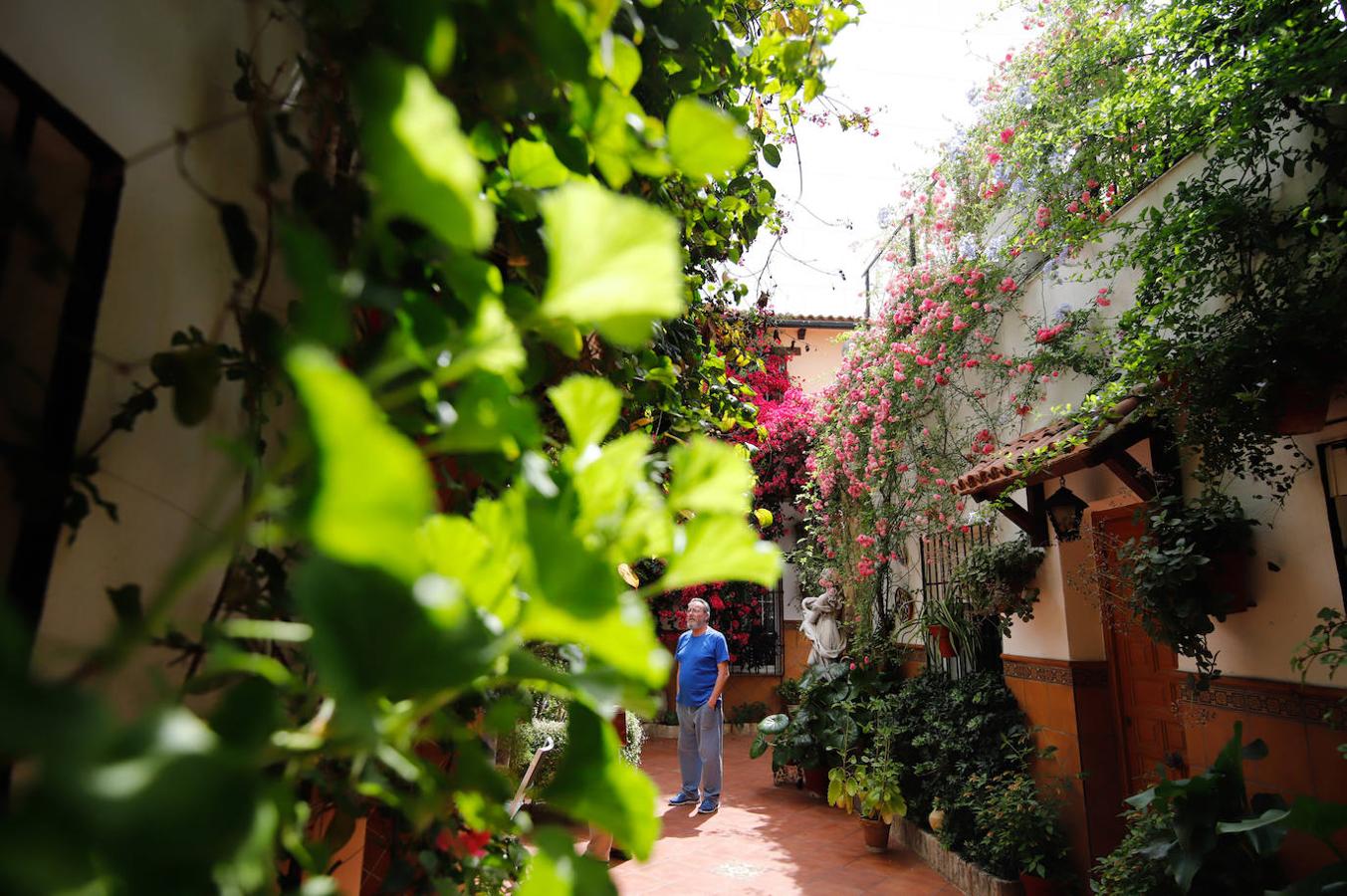 Los patios de Córdoba en Aceite y Barrionuevo, en imágenes