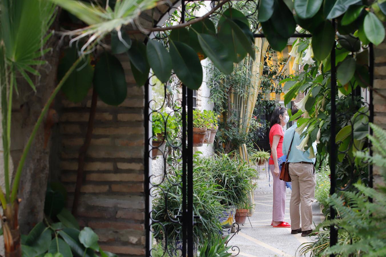 Los patios de Córdoba en Aceite y Barrionuevo, en imágenes