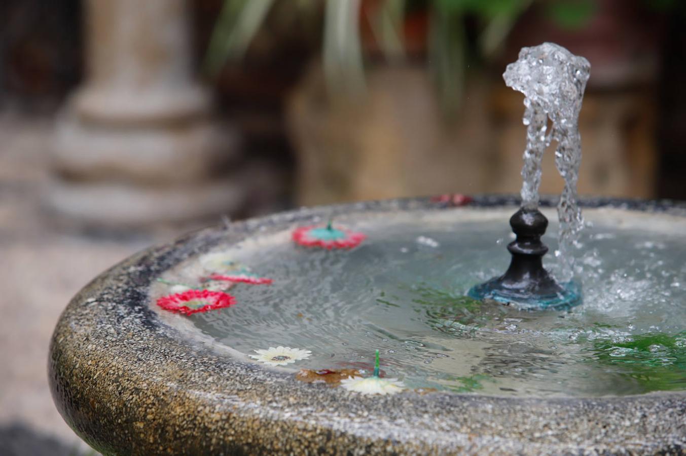 Los patios de Córdoba en Aceite y Barrionuevo, en imágenes