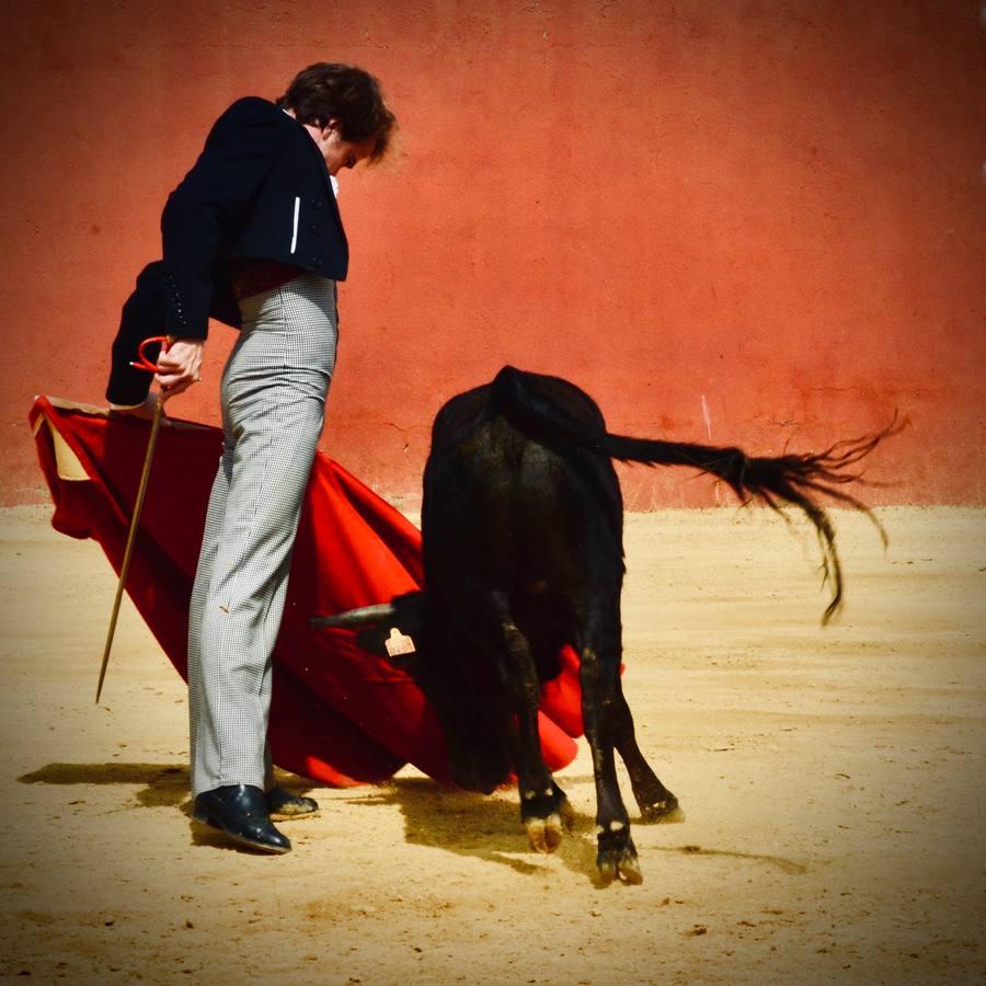 En imágenes, una jornada de campo en un tentadero en tiempos de coronavirus