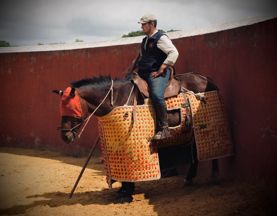 En imágenes, una jornada de campo en un tentadero en tiempos de coronavirus