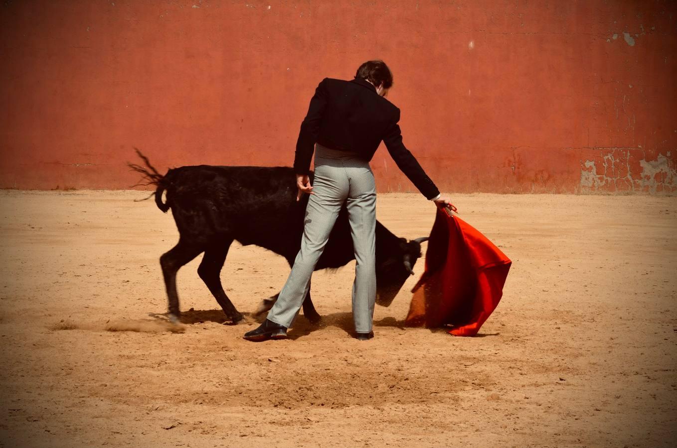 En imágenes, una jornada de campo en un tentadero en tiempos de coronavirus