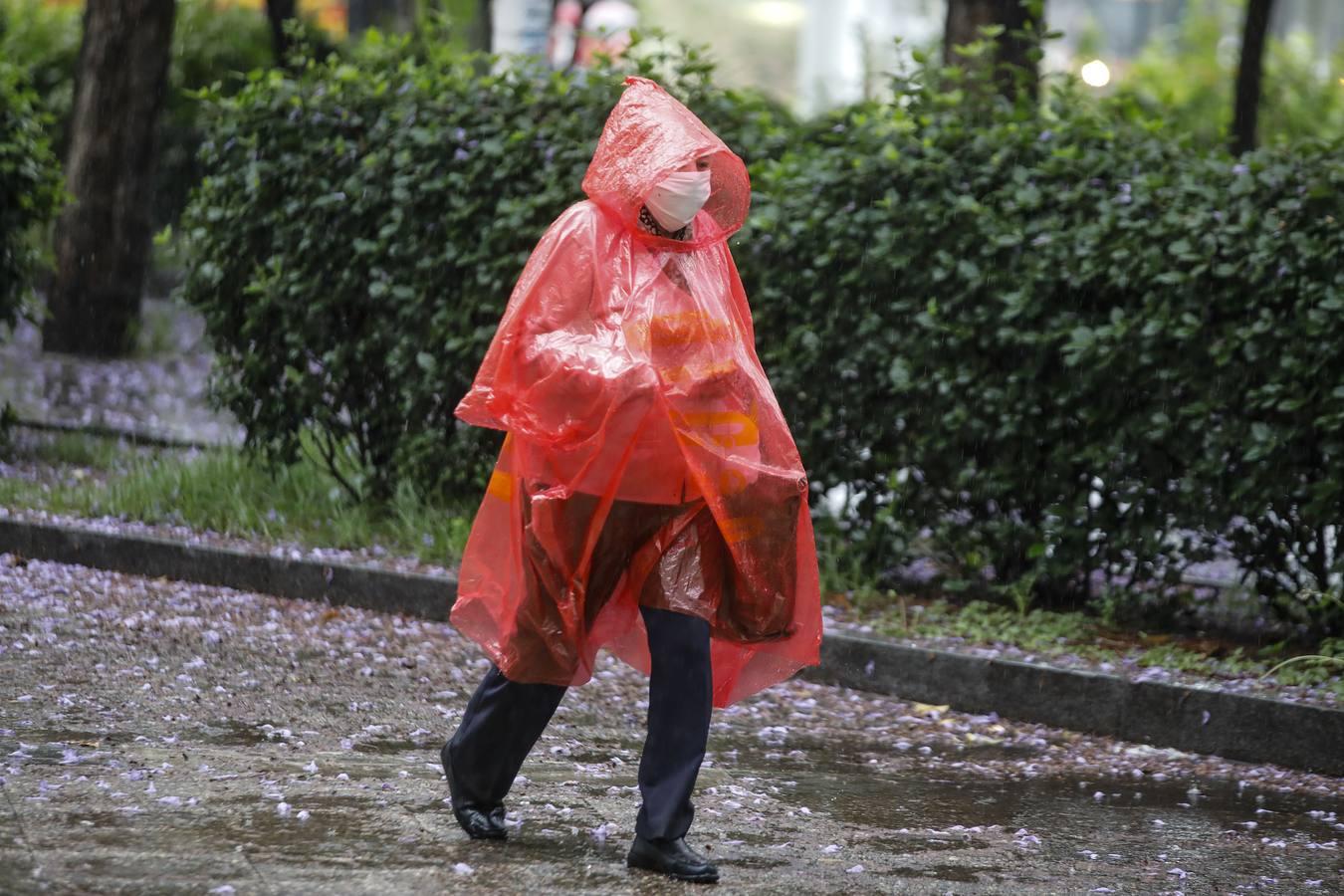 En imágenes, Sevilla bajo las fuertes lluvias y tormentas de este martes