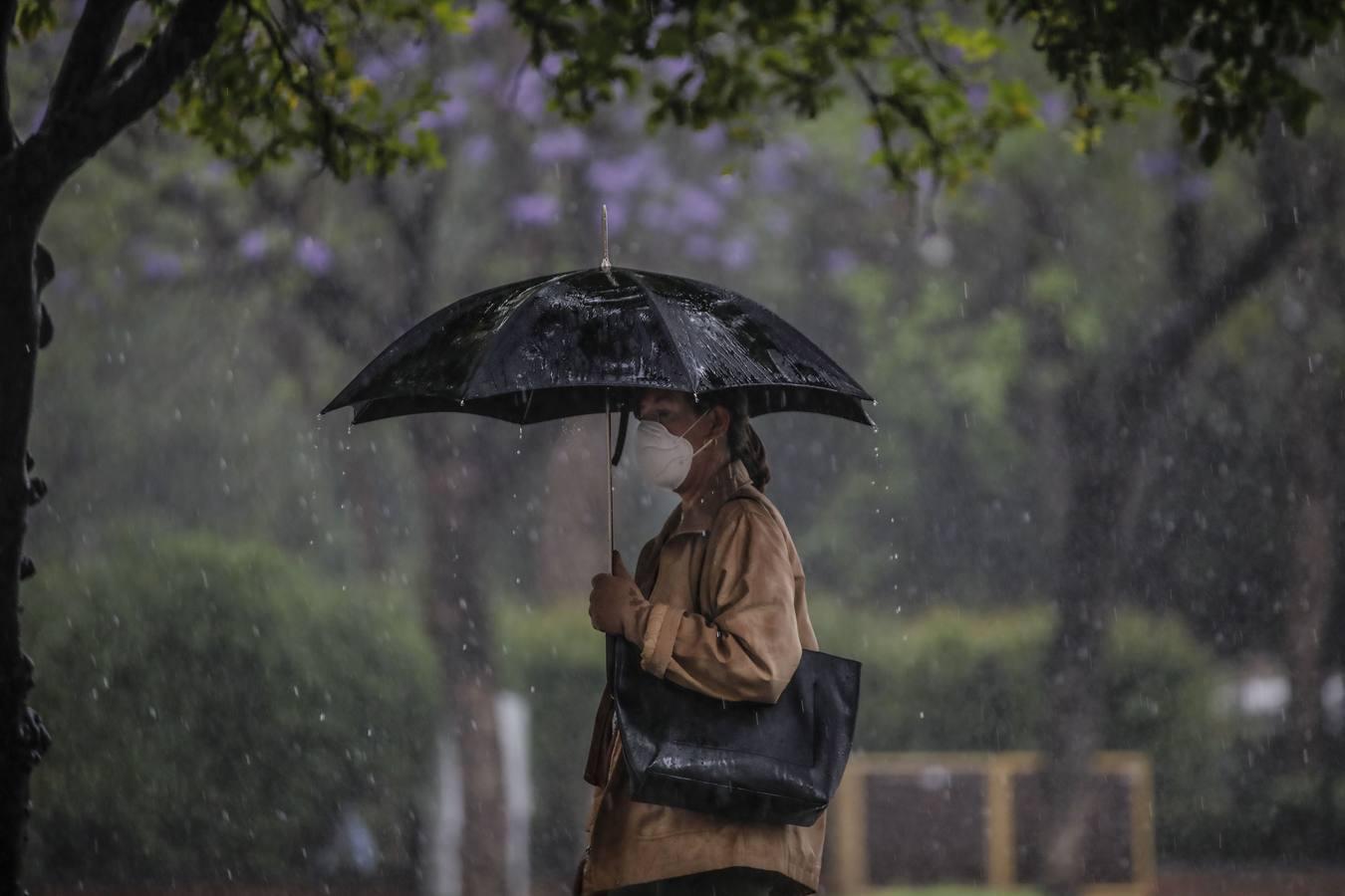 En imágenes, Sevilla bajo las fuertes lluvias y tormentas de este martes