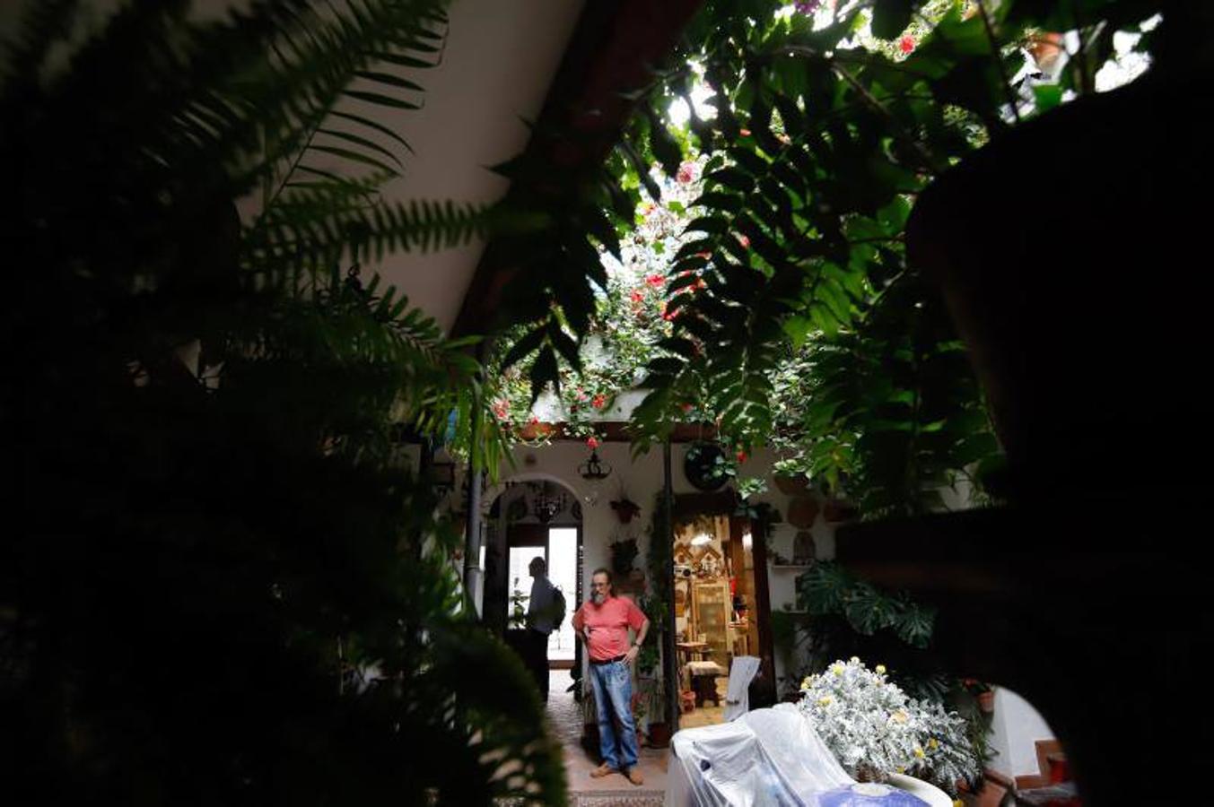 Los patios de Frailes y Alvar Rodríguez de Córdoba, en imágenes