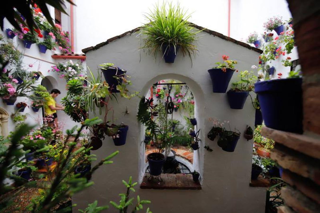 Los patios de Frailes y Alvar Rodríguez de Córdoba, en imágenes