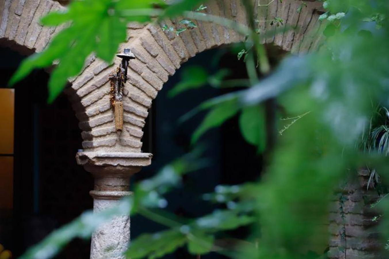 Los patios de Frailes y Alvar Rodríguez de Córdoba, en imágenes