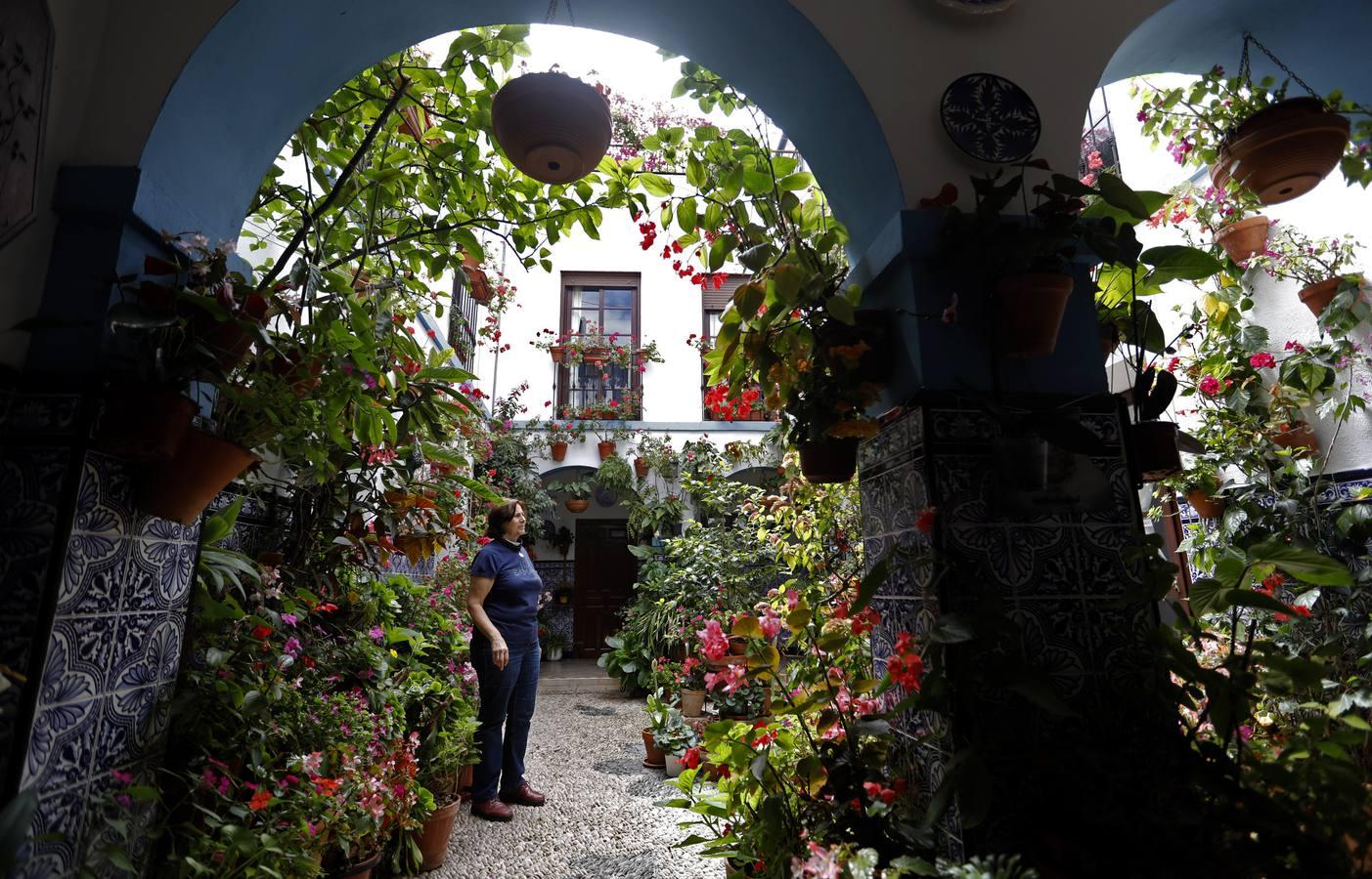 Los patios de Juan Fernández, 6 y Zarco,15 de Córdoba, en imágenes