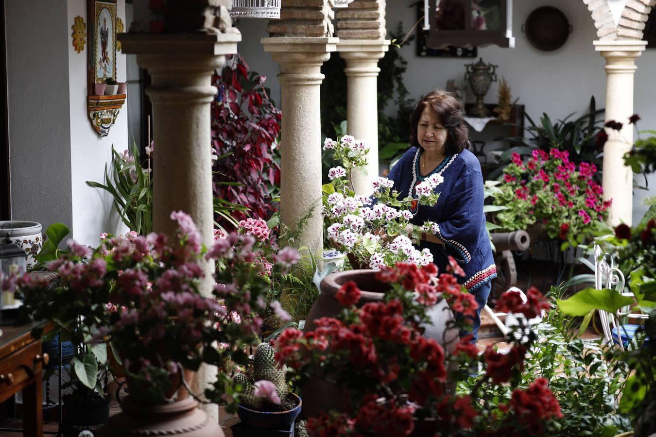 Los patios de Juan Fernández, 6 y Zarco,15 de Córdoba, en imágenes