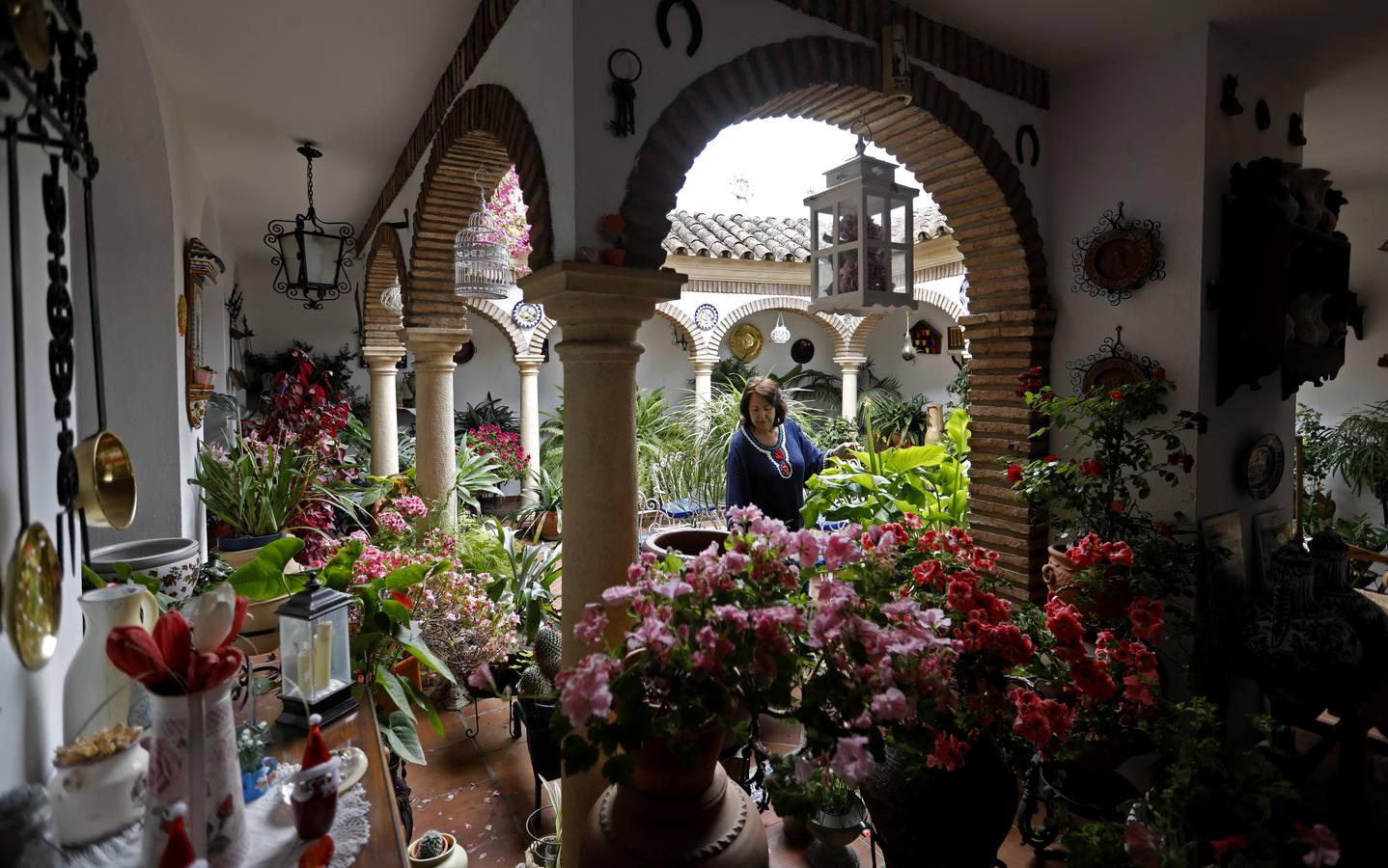 Los patios de Juan Fernández, 6 y Zarco,15 de Córdoba, en imágenes