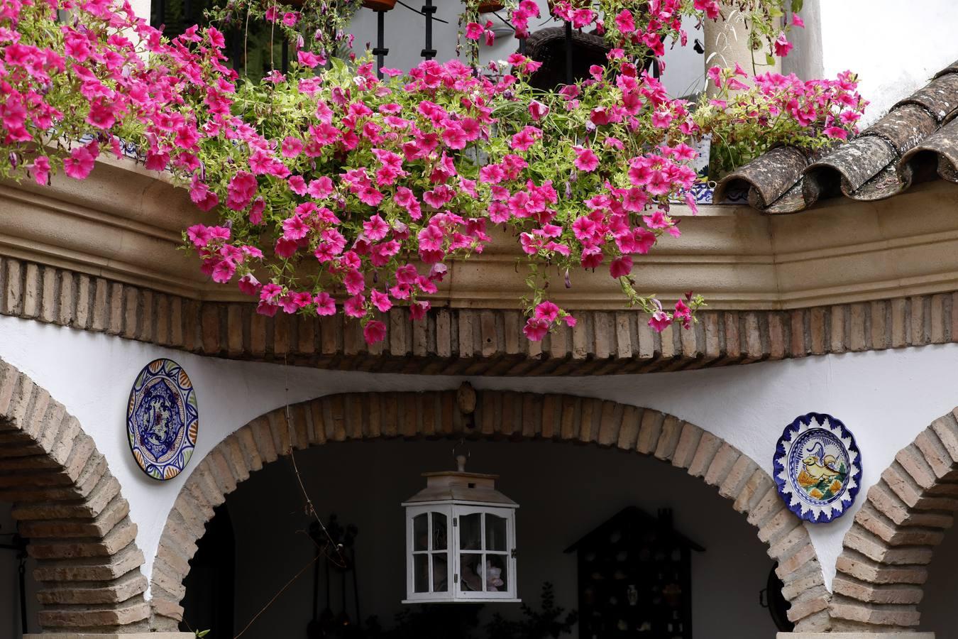 Los patios de Juan Fernández, 6 y Zarco,15 de Córdoba, en imágenes