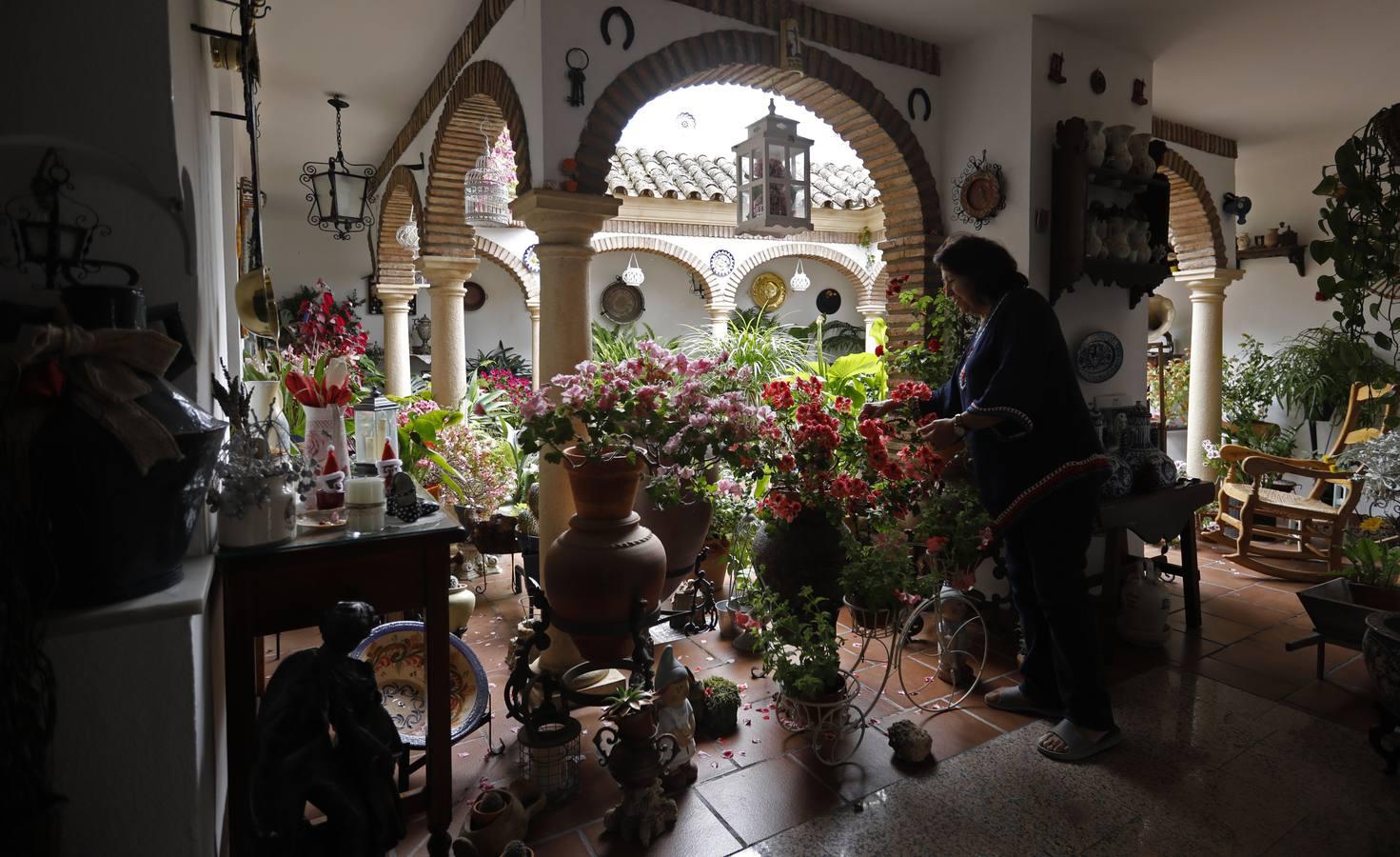 Los patios de Juan Fernández, 6 y Zarco,15 de Córdoba, en imágenes