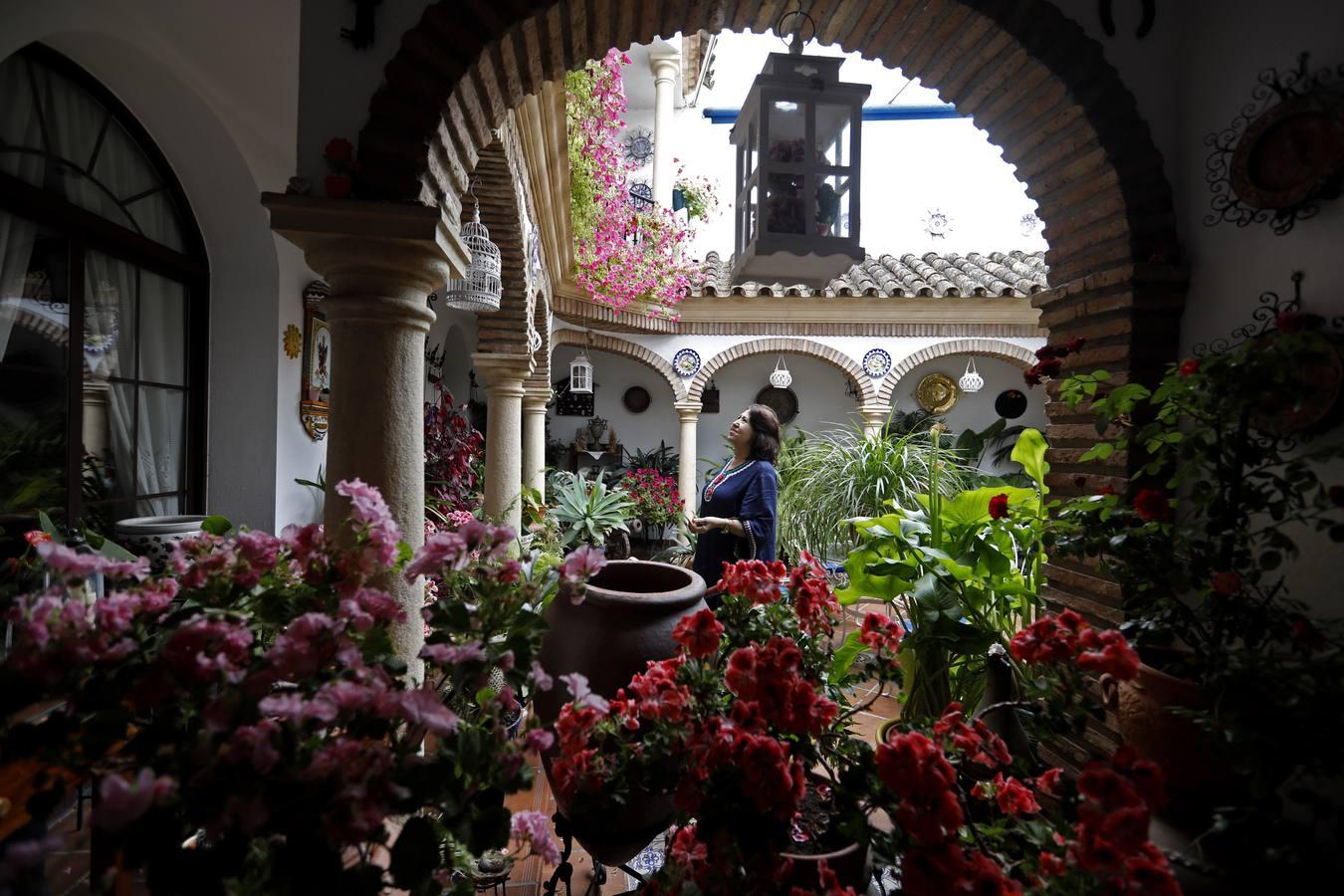 Los patios de Juan Fernández, 6 y Zarco,15 de Córdoba, en imágenes