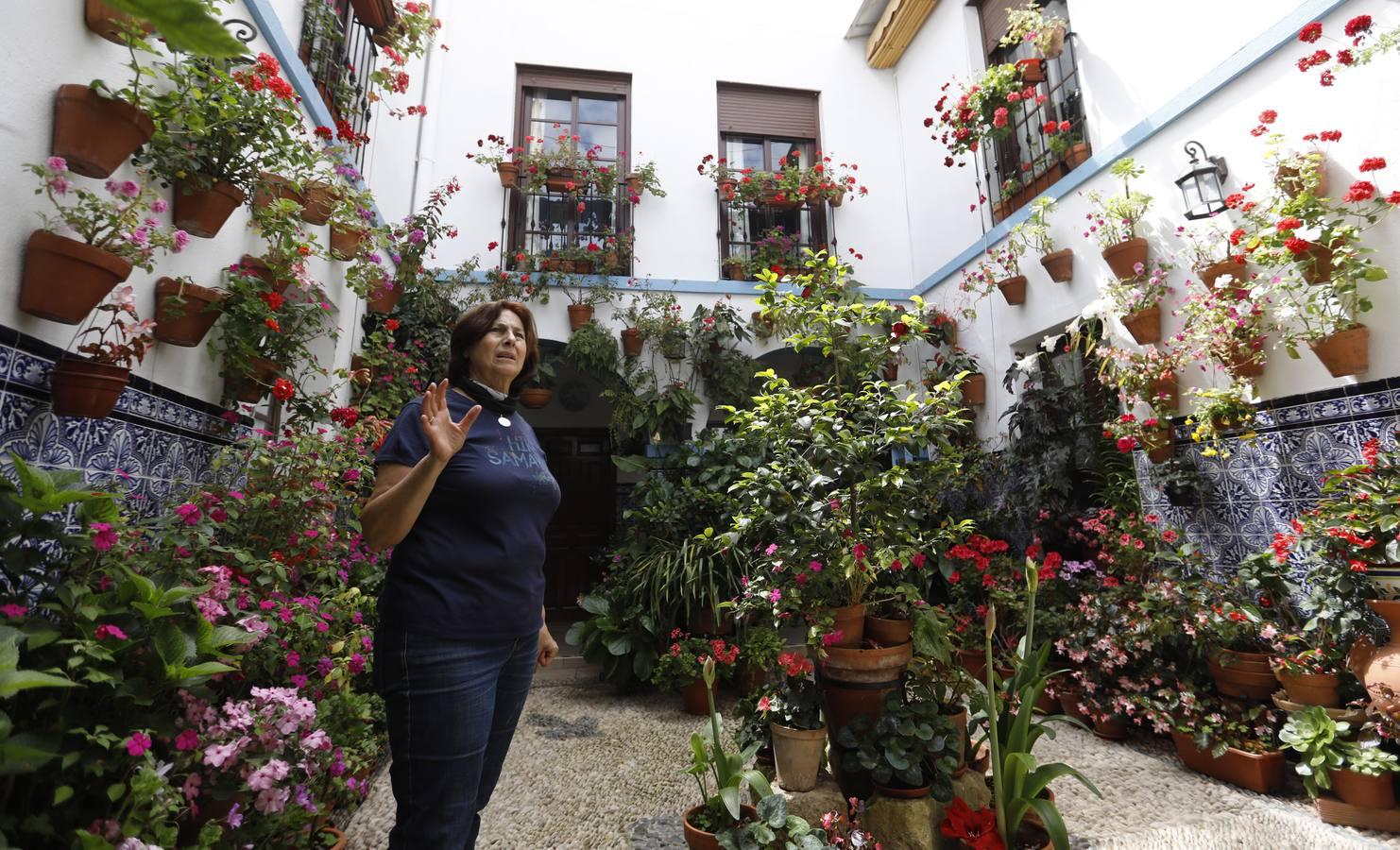 Los patios de Juan Fernández, 6 y Zarco,15 de Córdoba, en imágenes