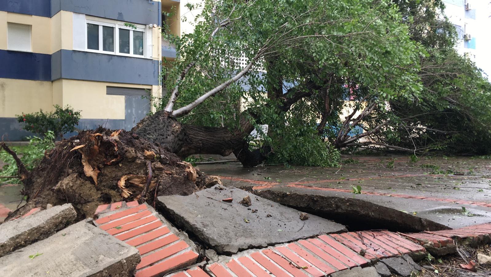 FOTOS: Temporal en Cádiz