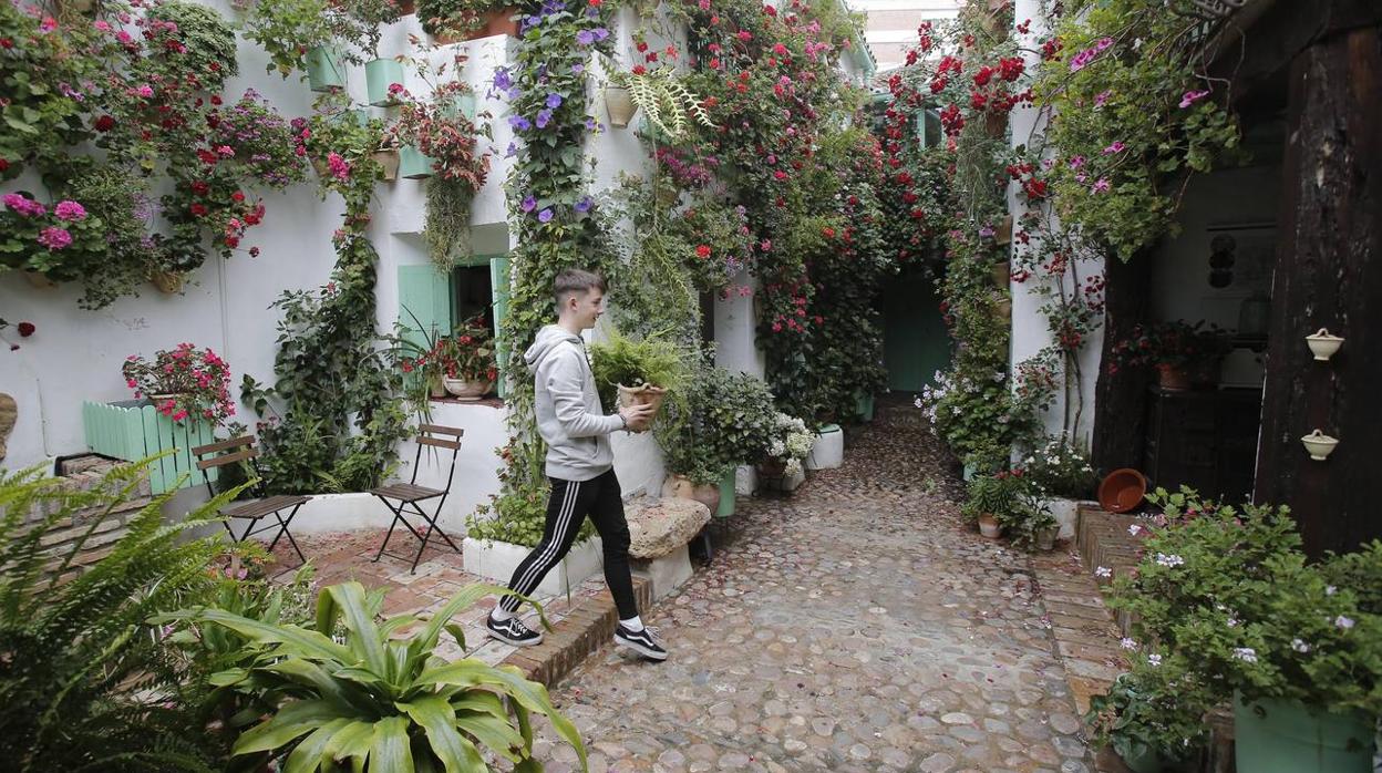 Los últimos sorbos de los Patios de Córdoba en San Basilio, en imágenes